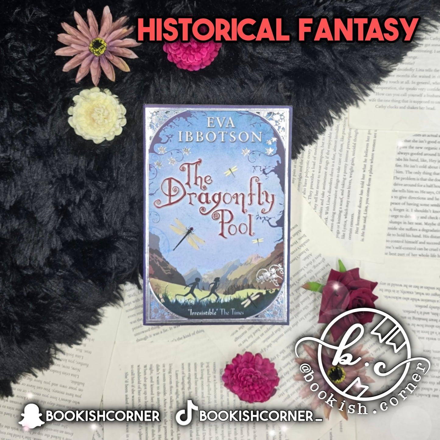 The Dragonfly Pool By Eva Ibbotson