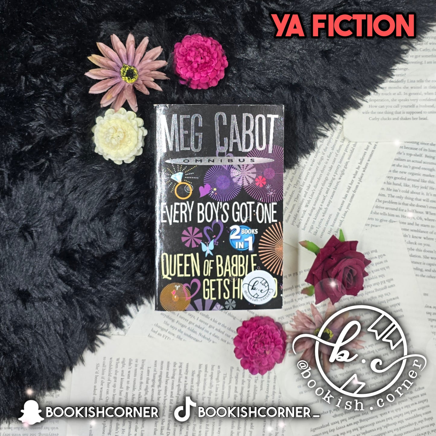 Every Boy's Got One / Queen Of Babble By Meg Cabot