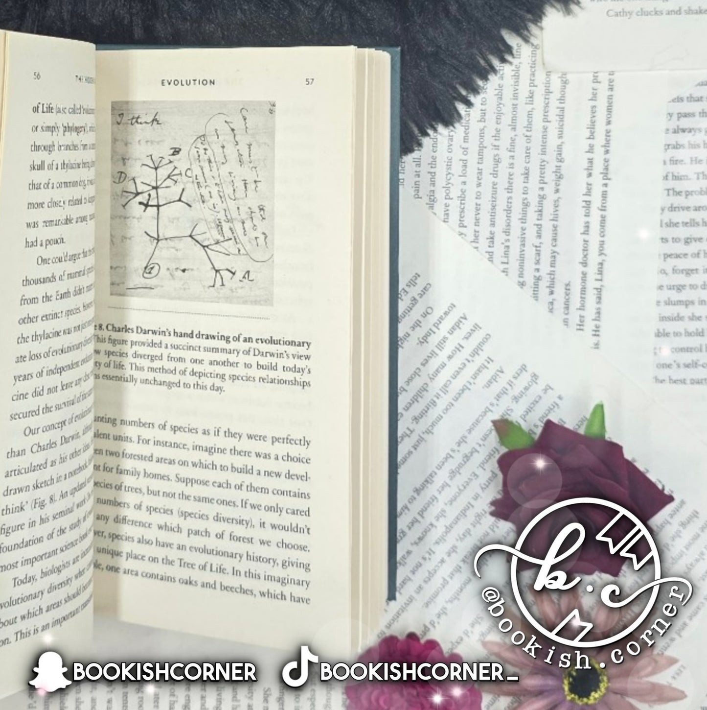 The Hidden Universe By Alexandre Antonelli