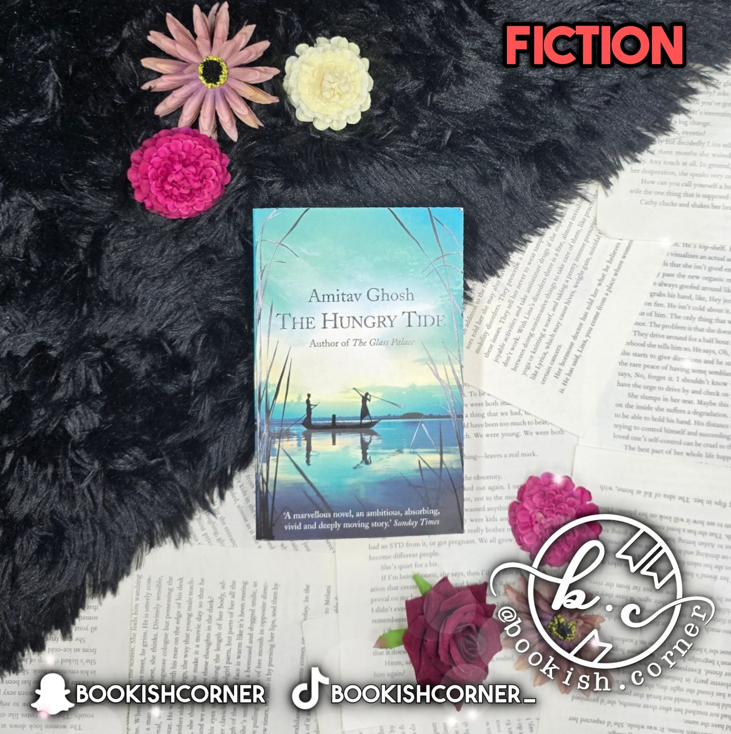 The Hungry Tide By Amitav Ghosh