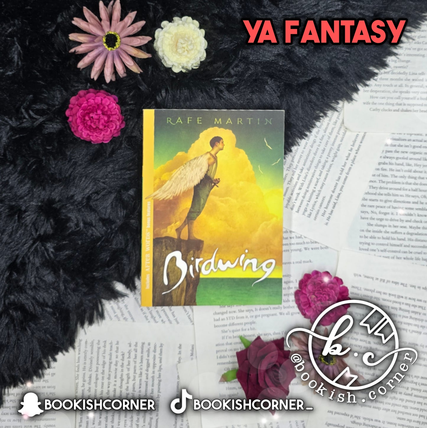 Birdwing By Rafe Martin