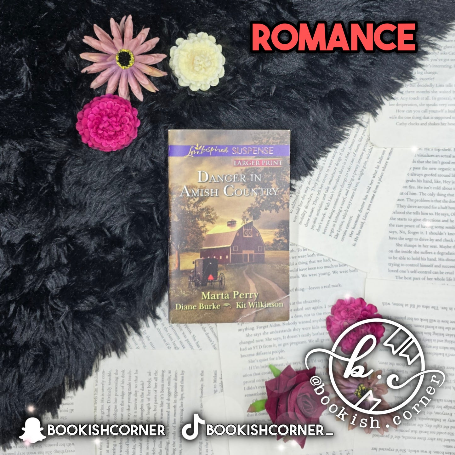 Danger In Amish Country By Marta Perry