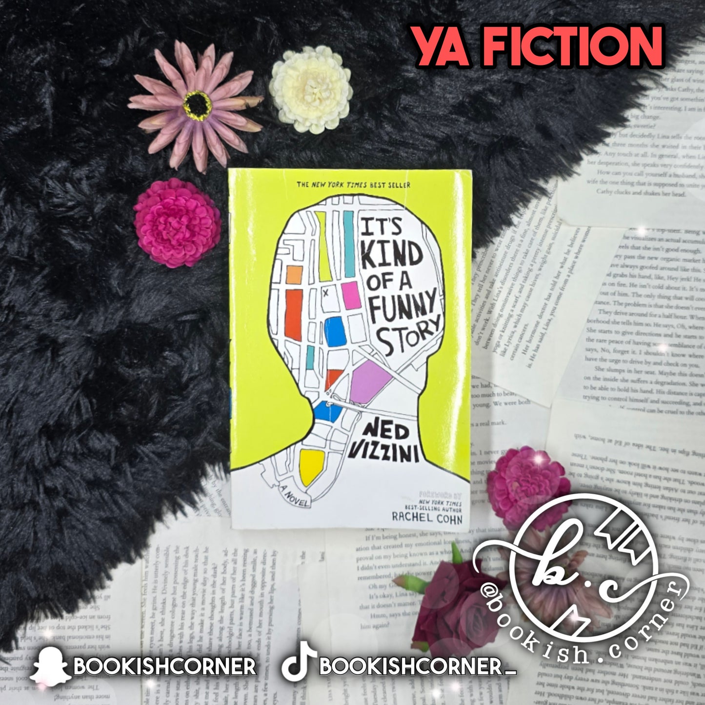 It's Kind Of A Funny Story By Ned Vizzini