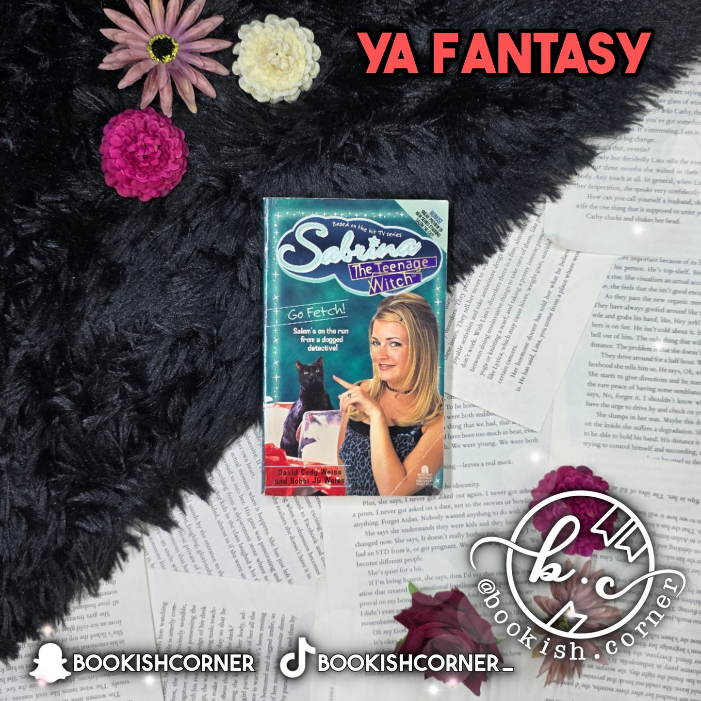 Sabrina The Teenage Witch Go Fetch By David Cody