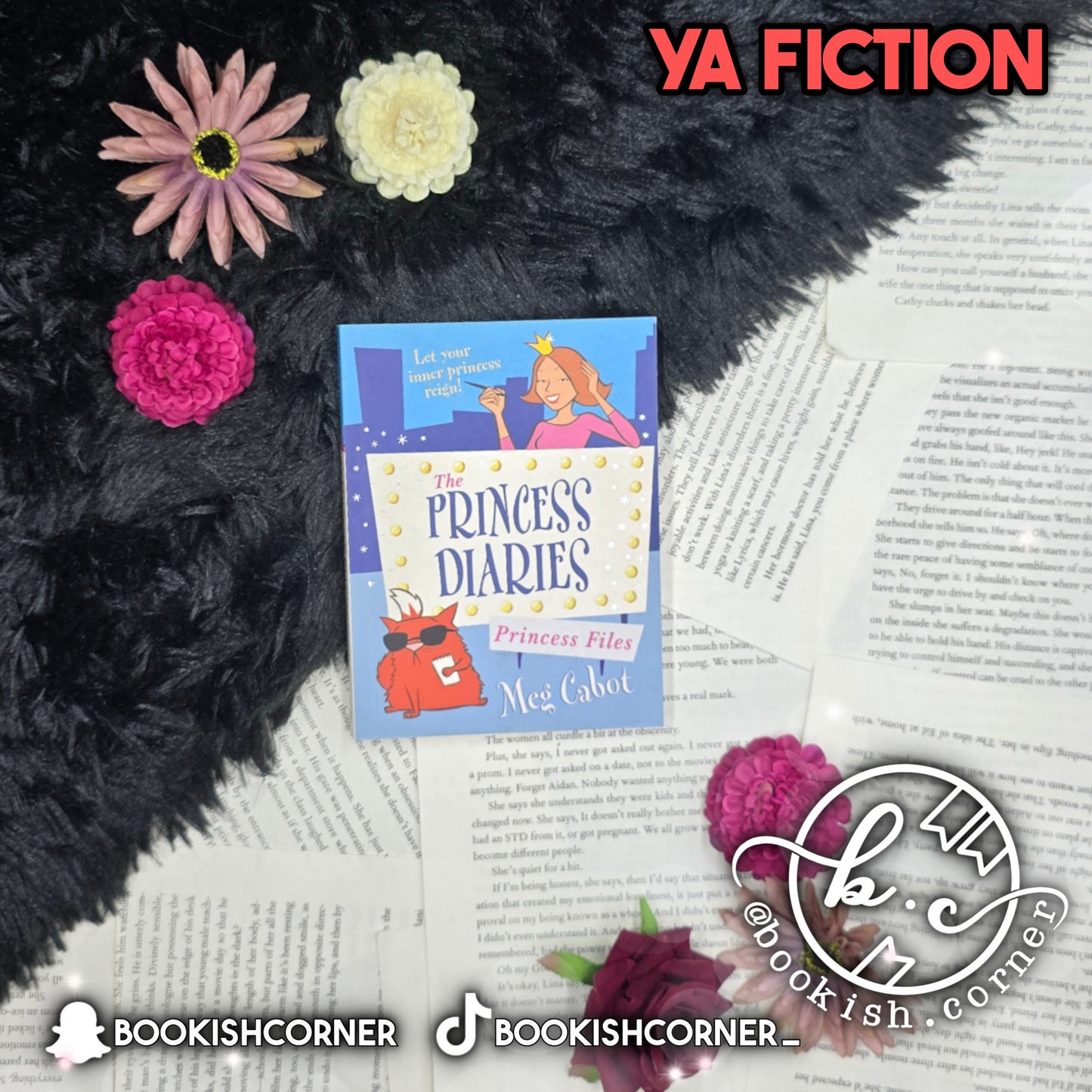 Princess Files By Meg Cabot