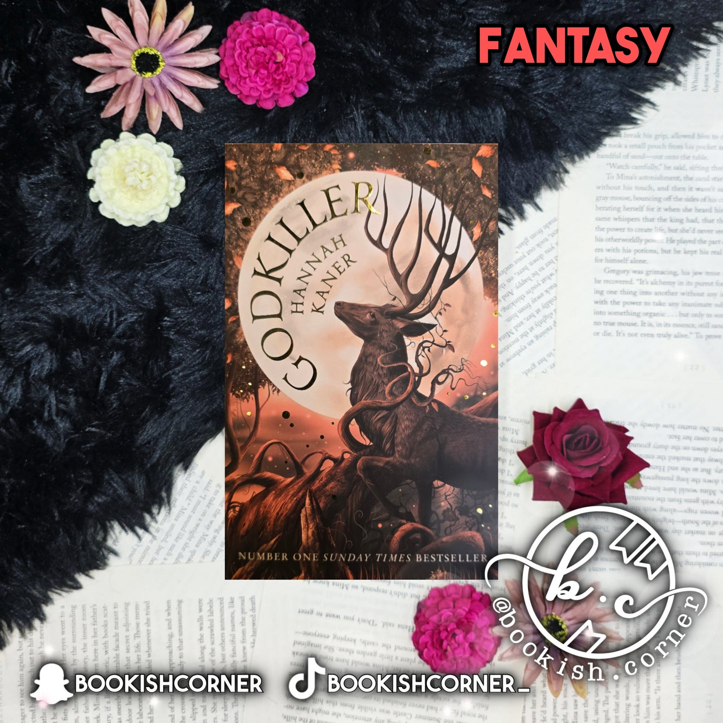 Godkiller By Hannah Kaner