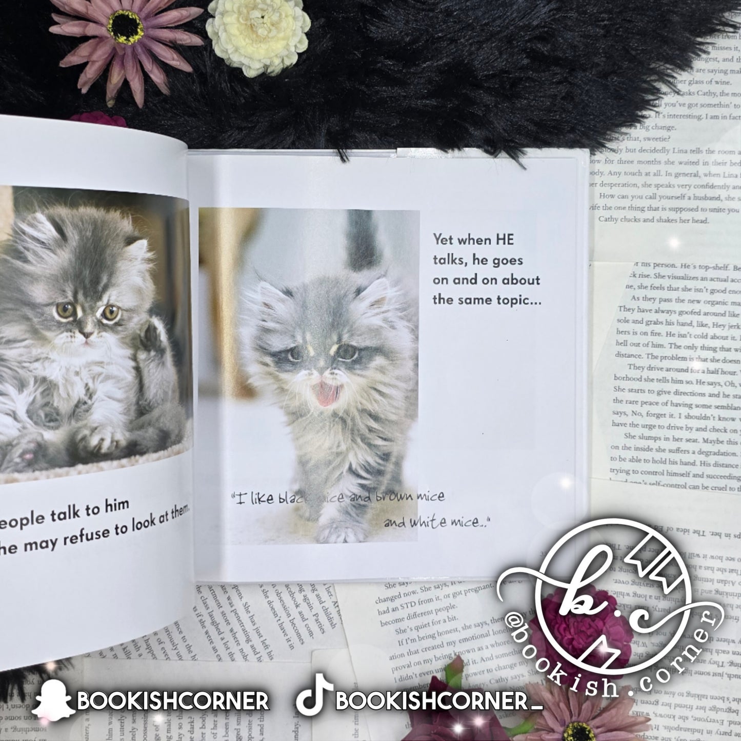 All Cats Have Asperger Syndrome By Kathy Hoopmann