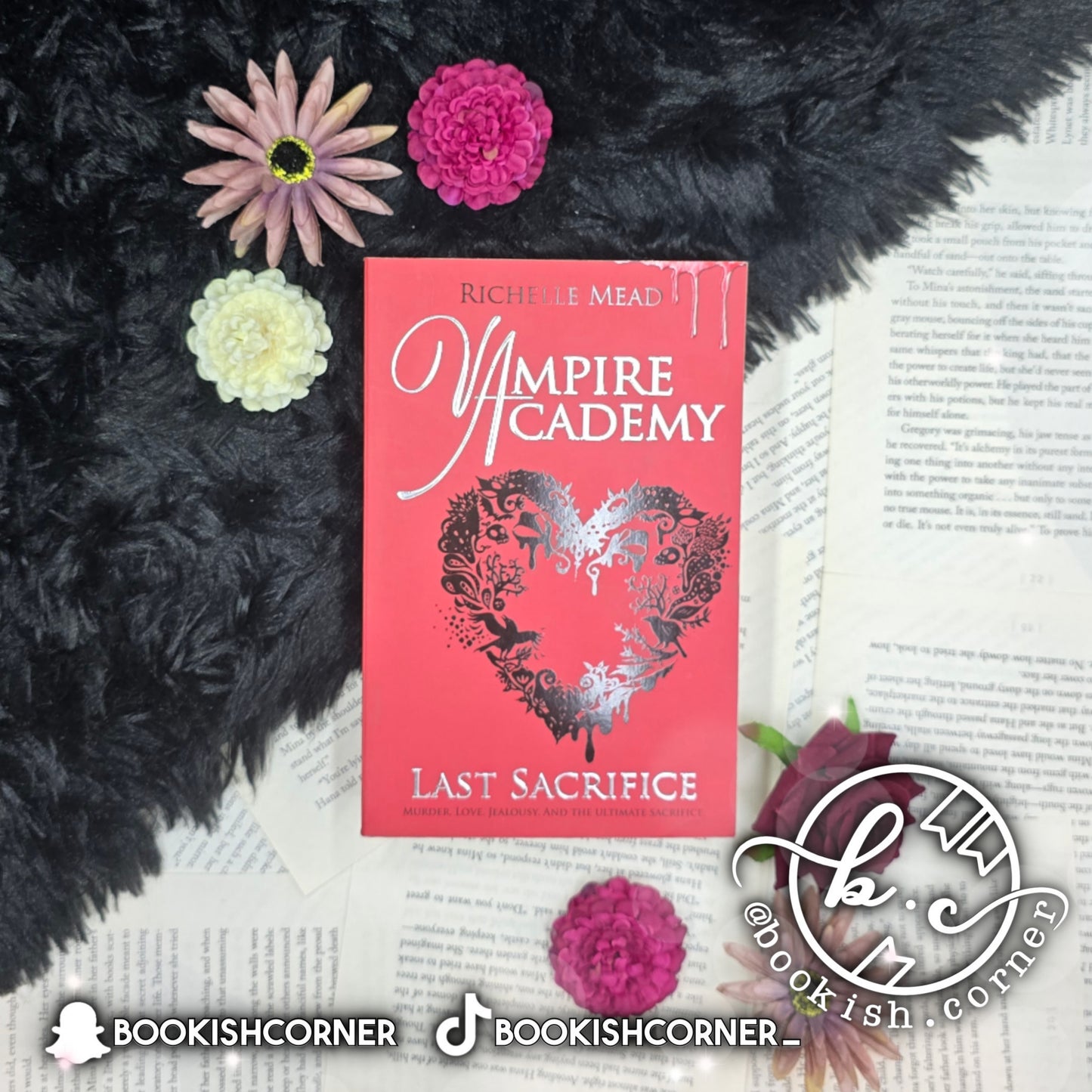 Vampire Academy Books By Richelle Mead