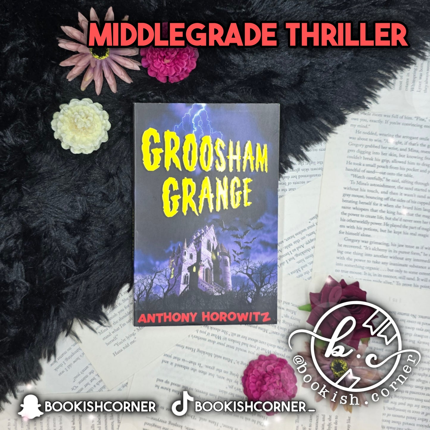 Groosham Grange By Anthony Horowitz