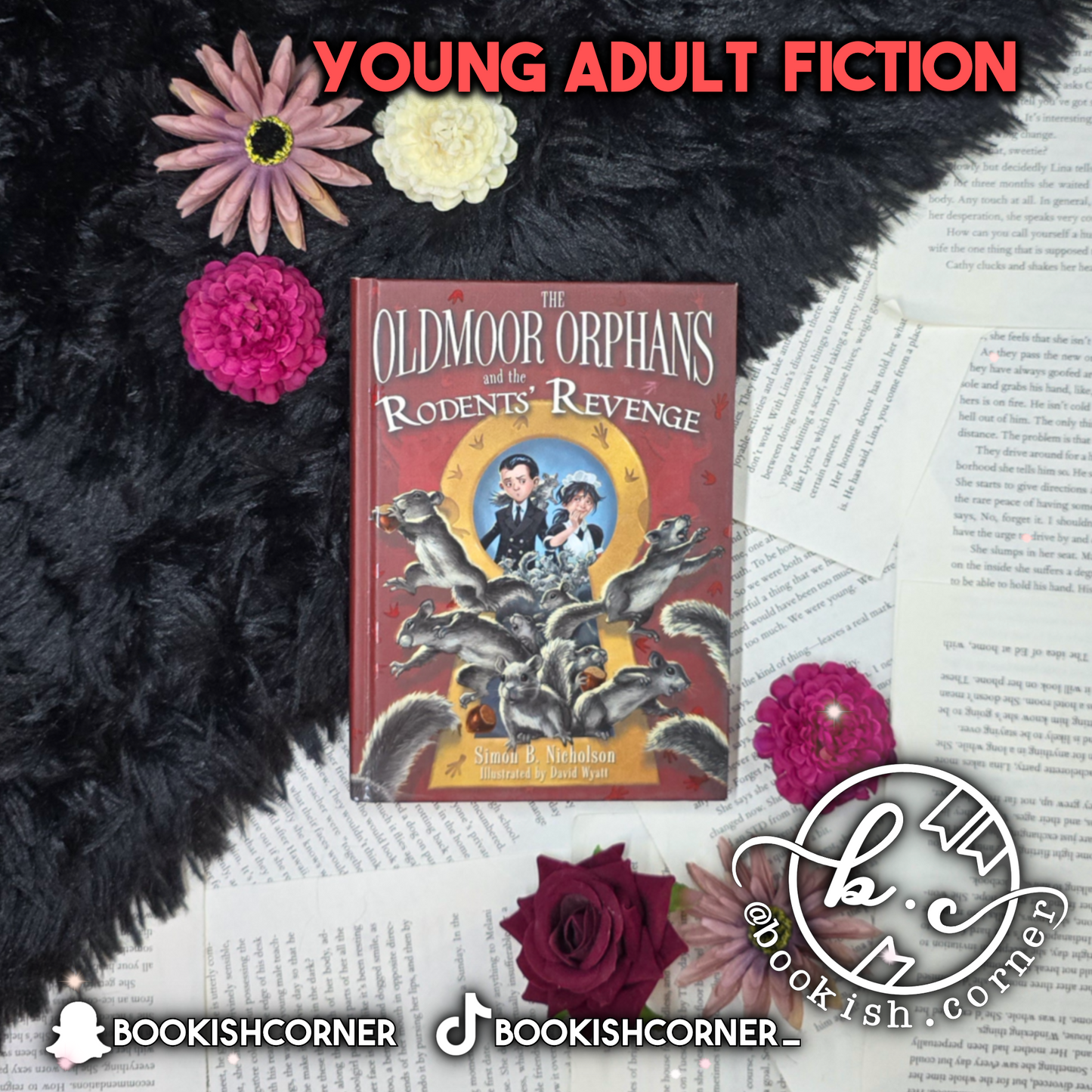 Oldmoor Orphans And The Rodents Revenge By Simon Nicholson