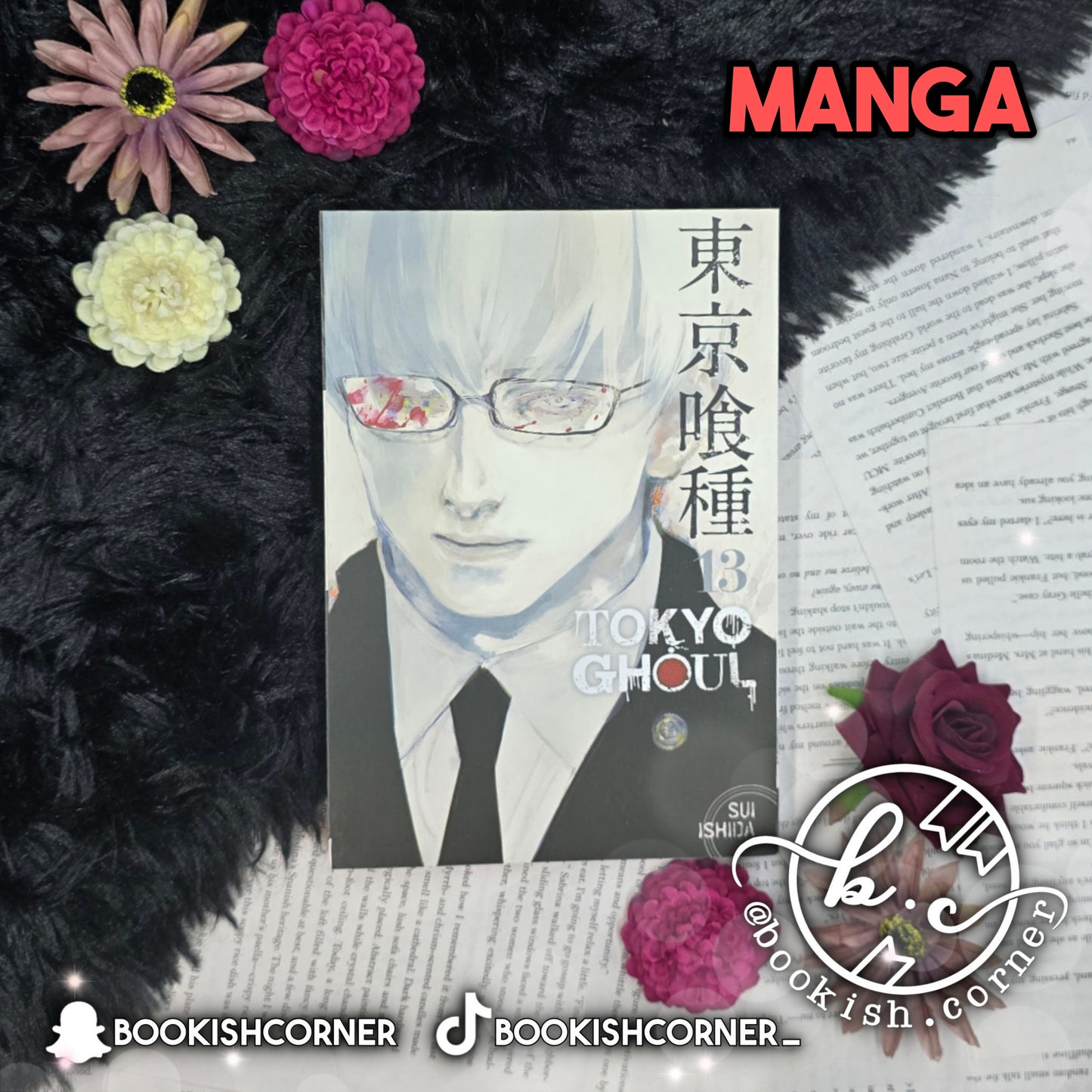 Tokyo Ghoul vol 13 By Sui Ishida