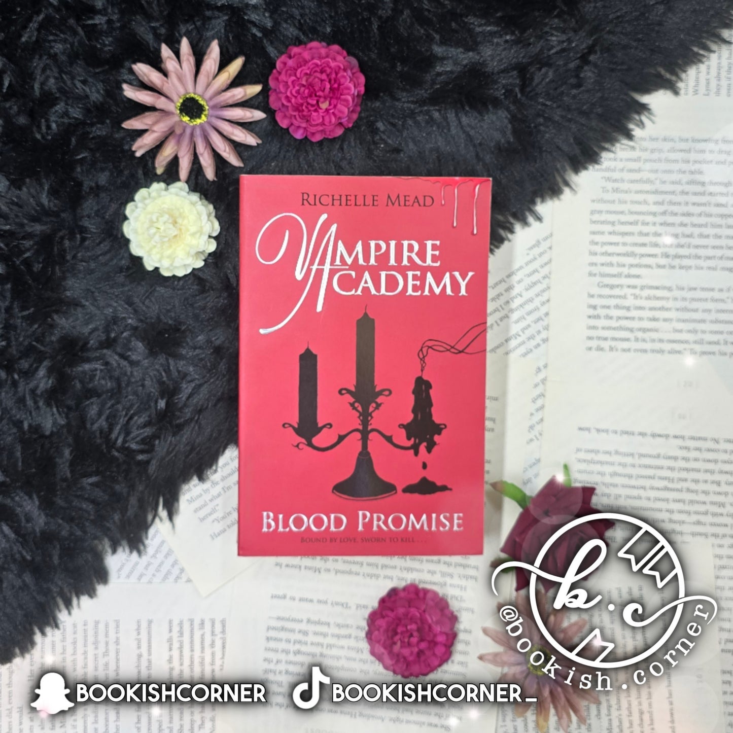 Vampire Academy Books By Richelle Mead