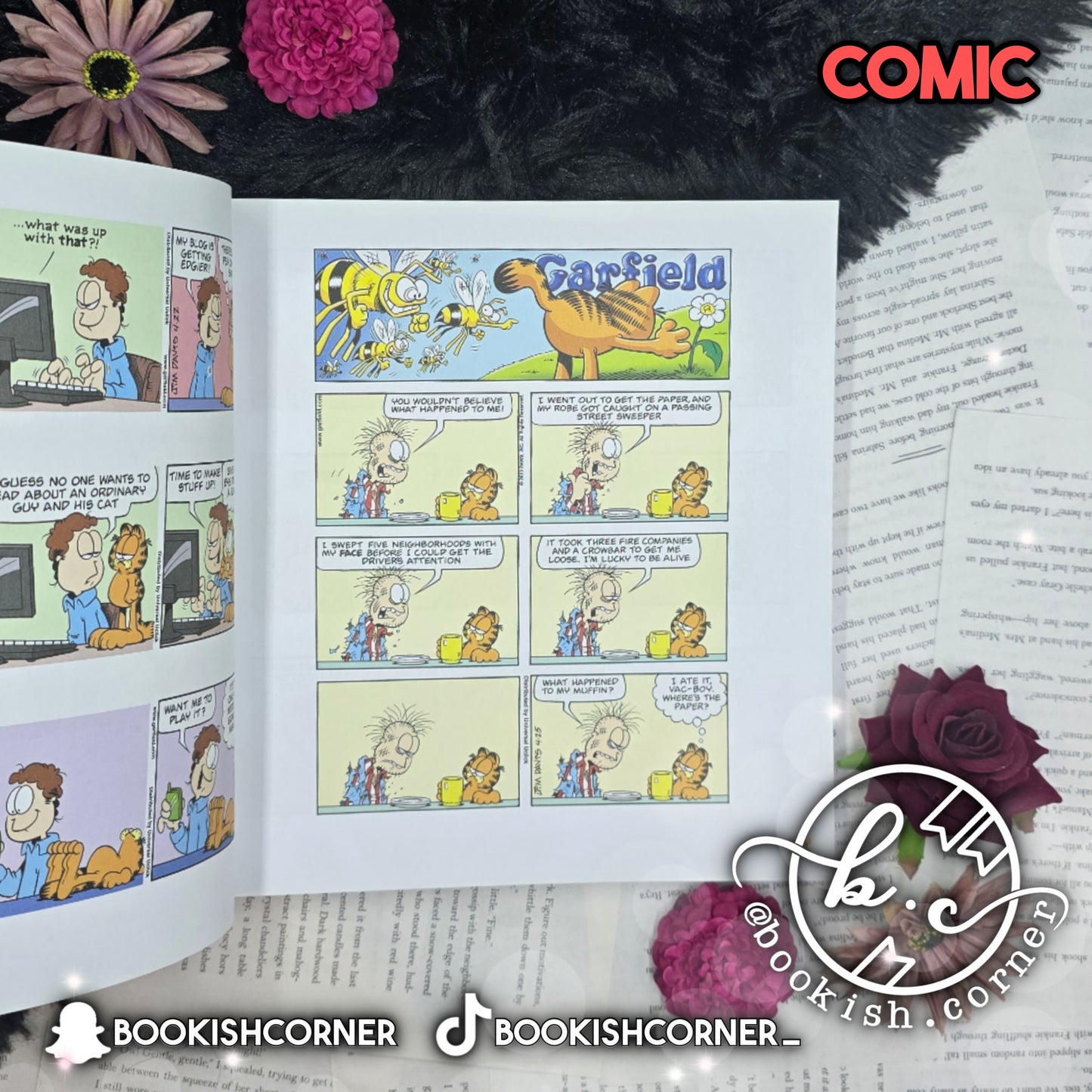 Garfield Fat Cat 3 Pack vol 18 by Jim Davis
