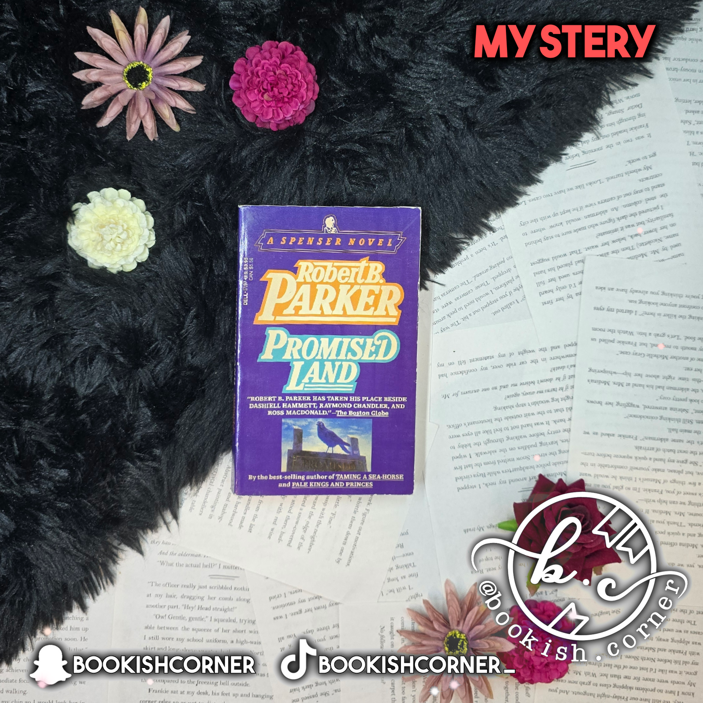 Promised Land By Robert B Parker