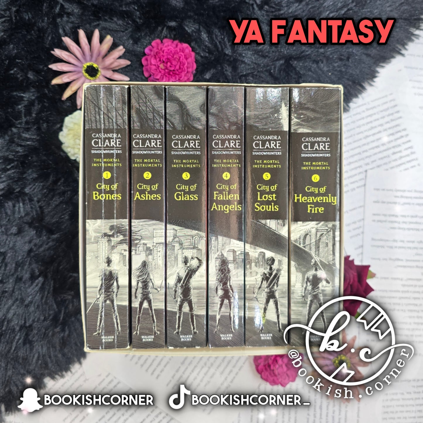 City Of Bones (set) By Cassandra Clare