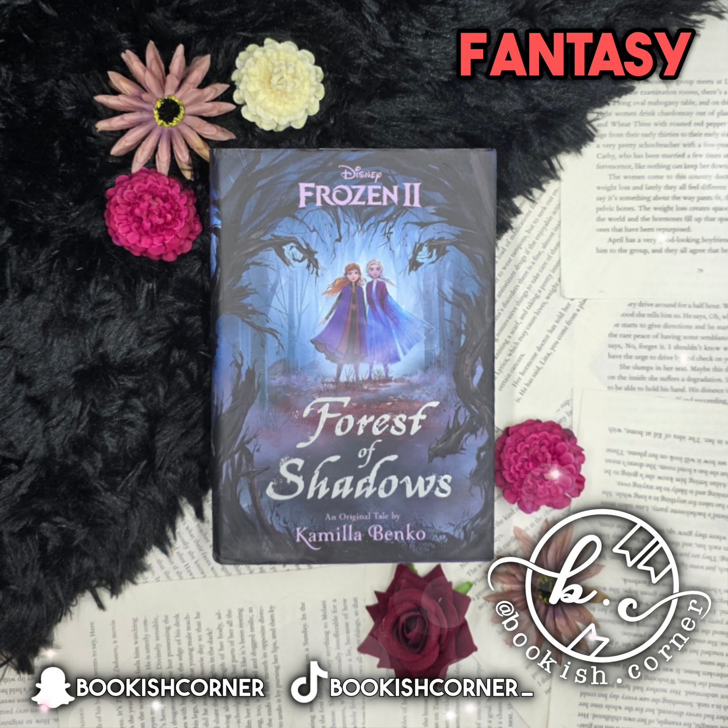 Frozen 2: Forest Of Shadows By Kamilla Benko