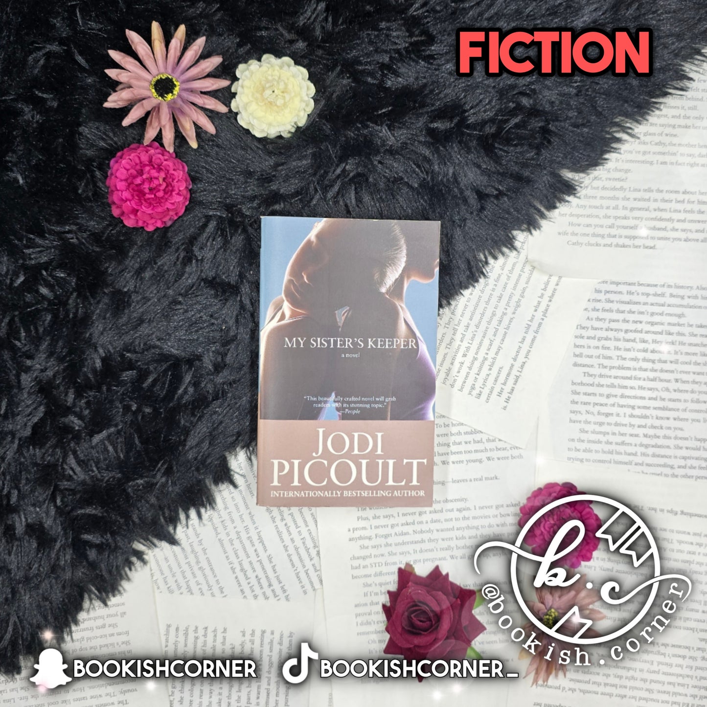 My Sister's Keeper By Jodi Picoult