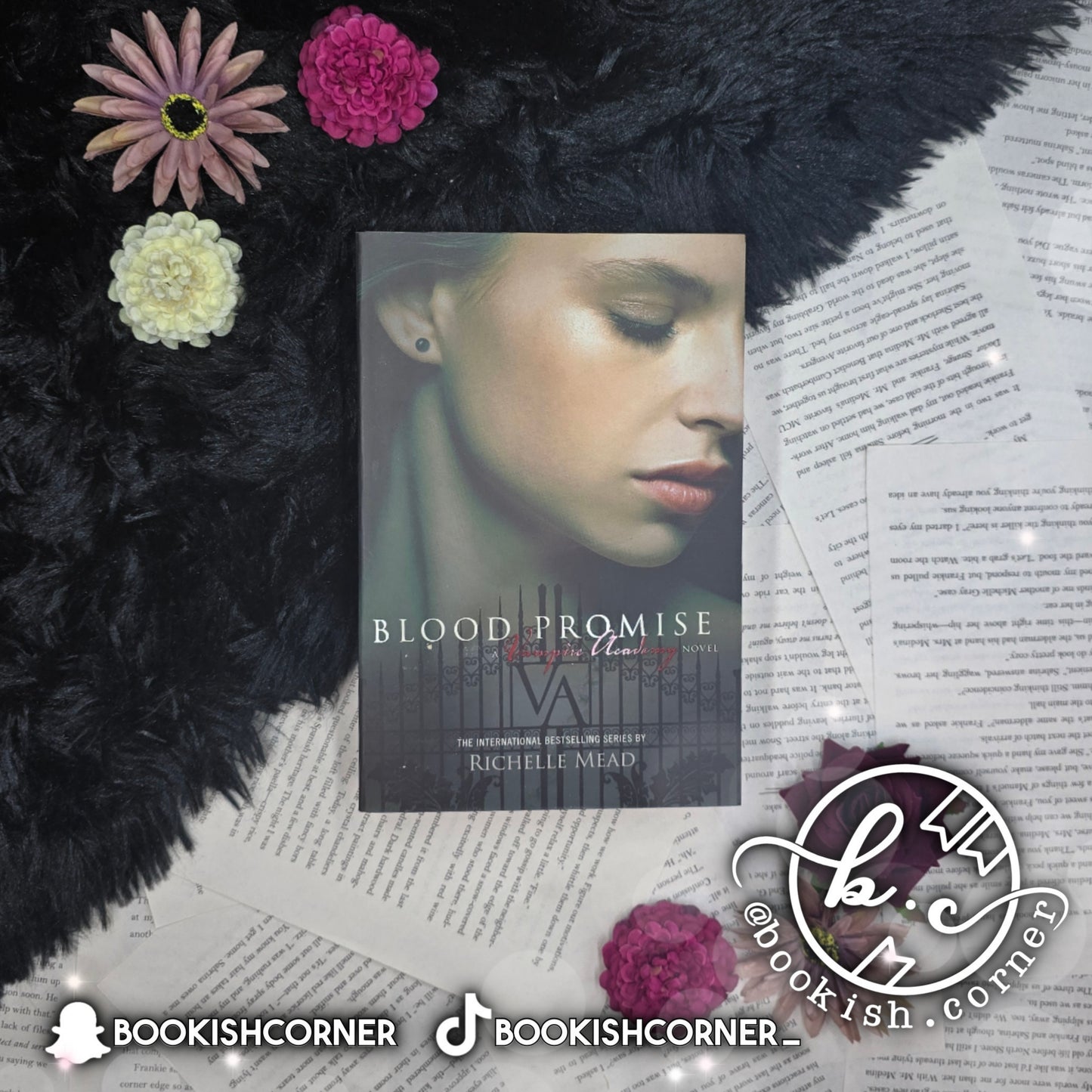 Vampire Academy (box) By Richelle Mead