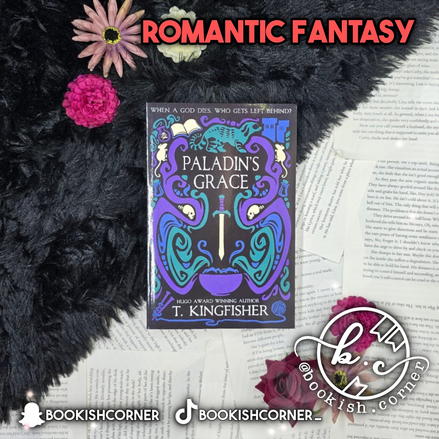 Paladin's Grace By T Kingfisher