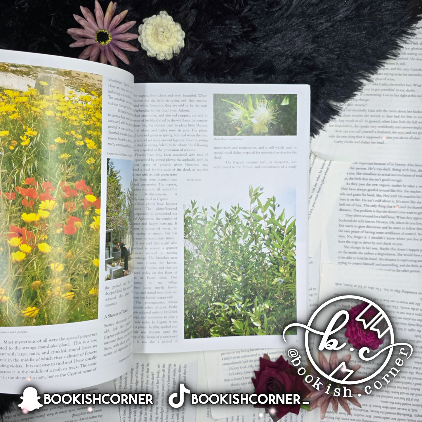 Olives And Lemons By Shirley Kay