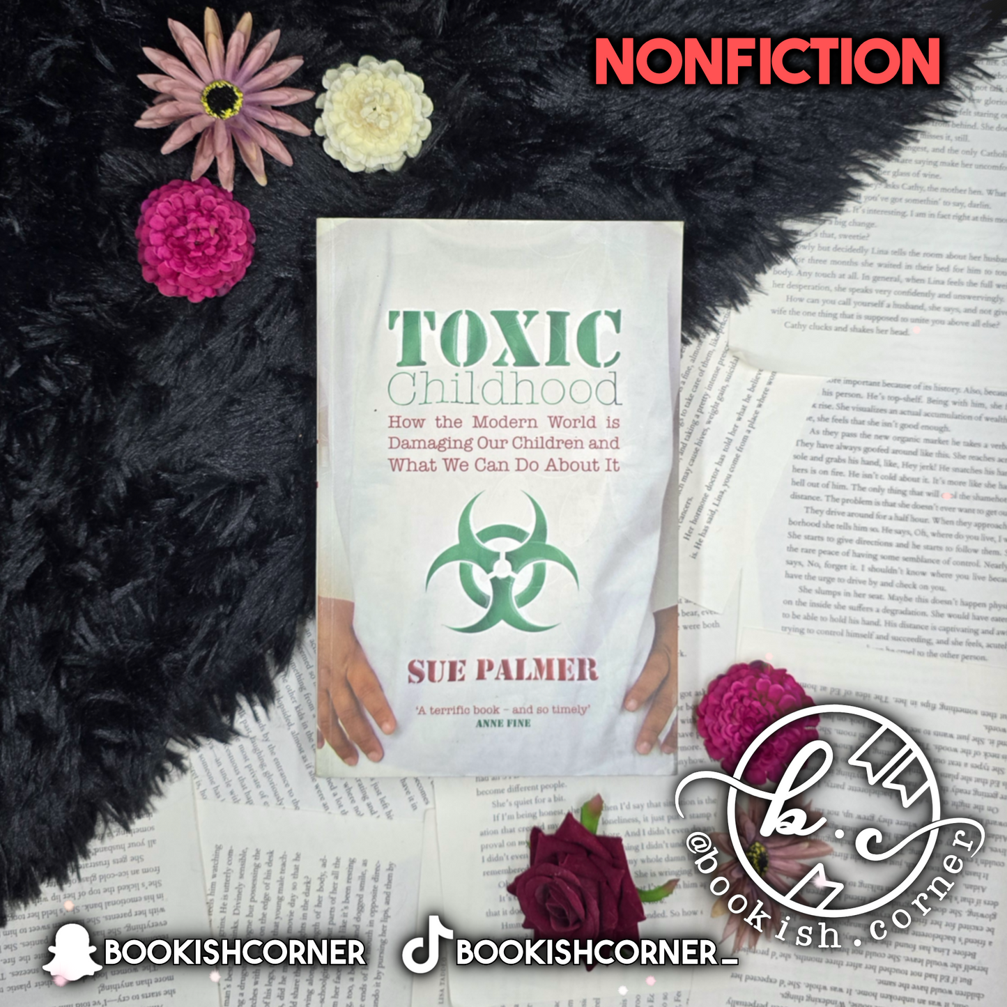 Toxic Childhood By Sue Palmer