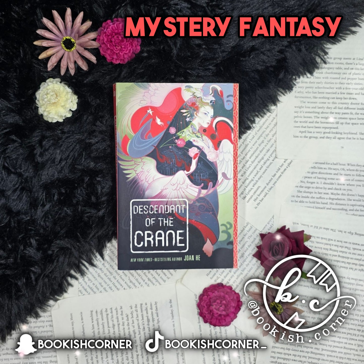 Descendant Of The Crane By Joan He