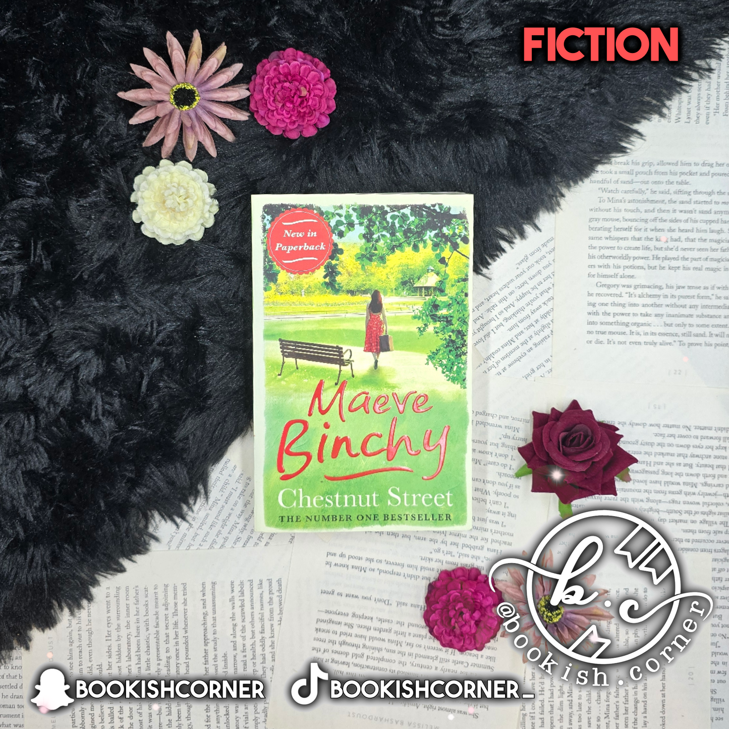 Chestnut Street By Maeve Binchy