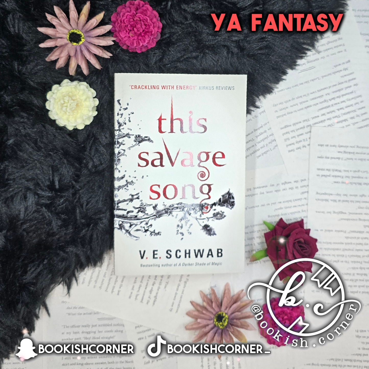 This Savage Song By V E Schwab