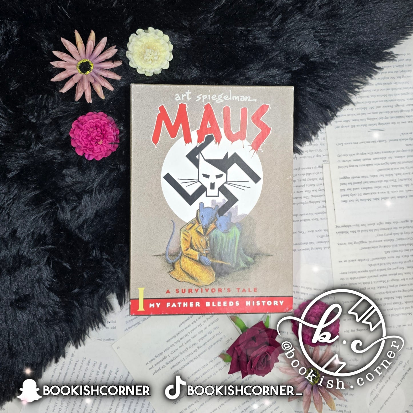 Maus (box set) By Art Spiegelman
