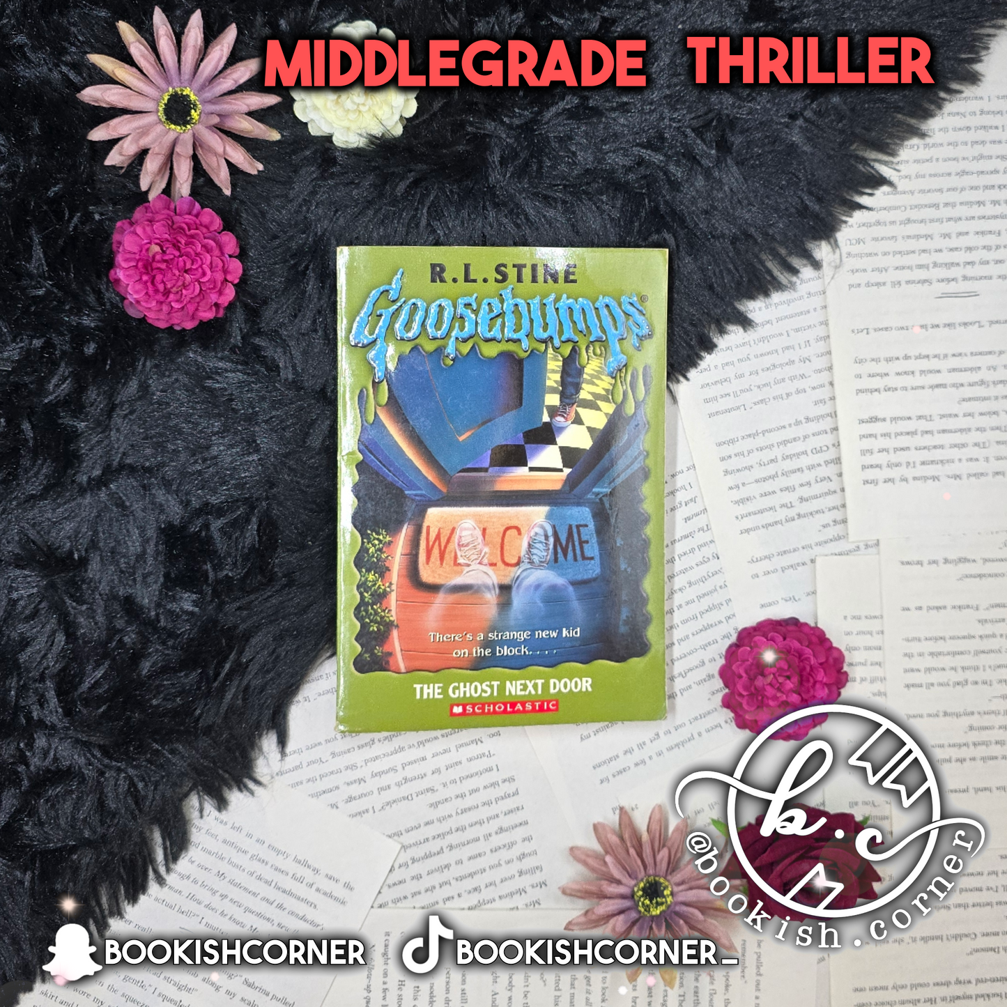 The Ghost Next Door By R L Stine