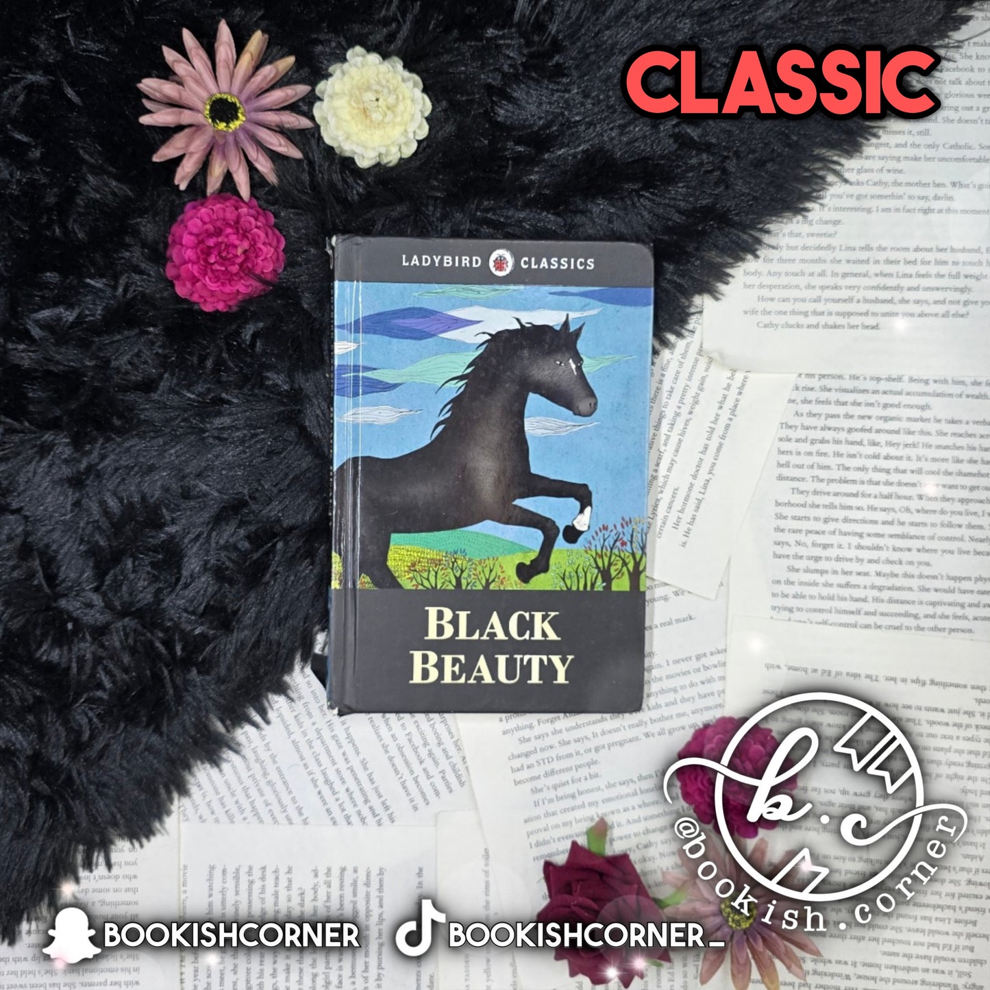 Black Beauty (abridged) By Anna Sewell