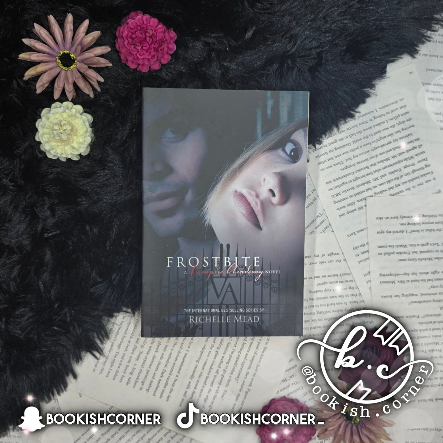 Vampire Academy (box) By Richelle Mead