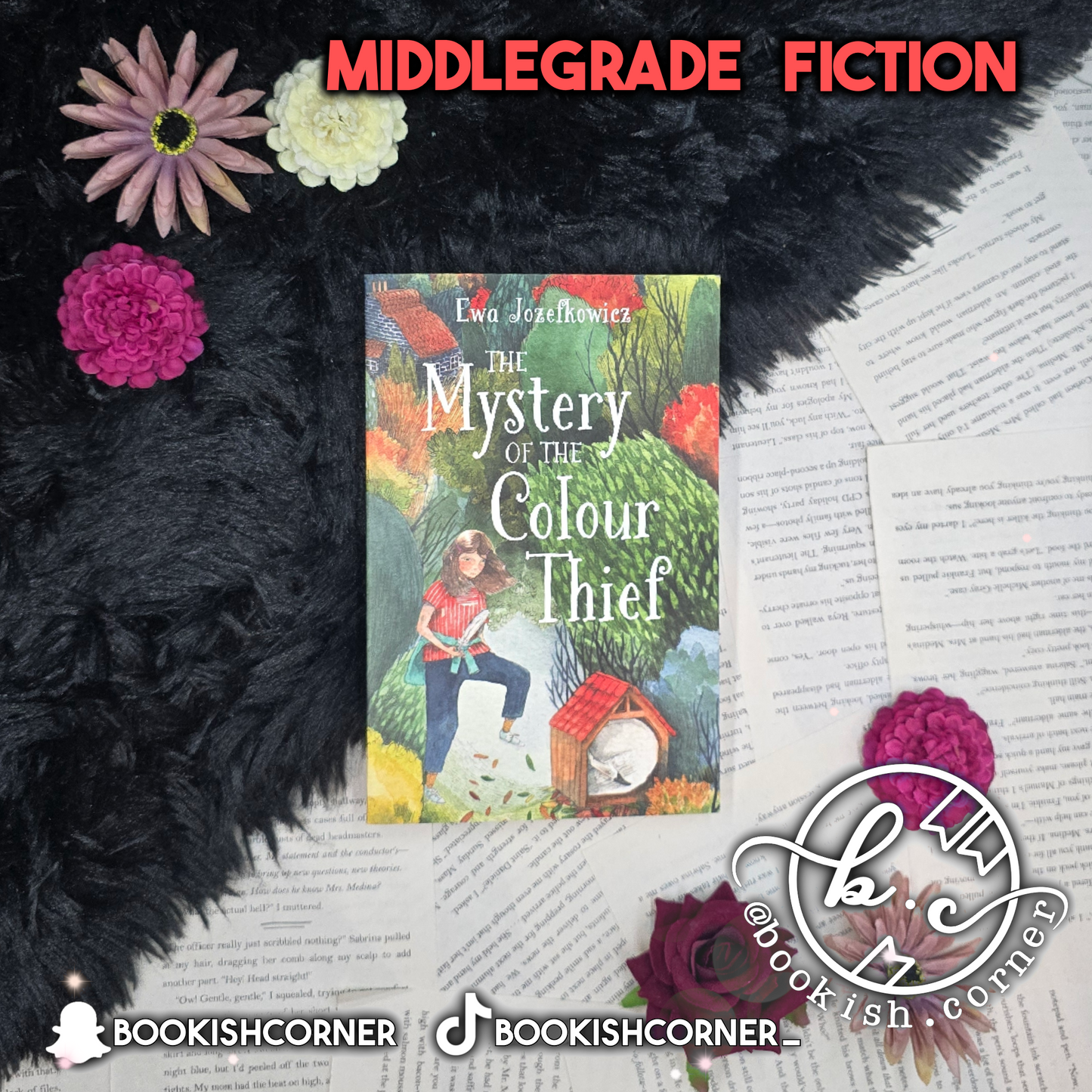 The Mystery of the Colour Thief By Ewa Jozefkowicz