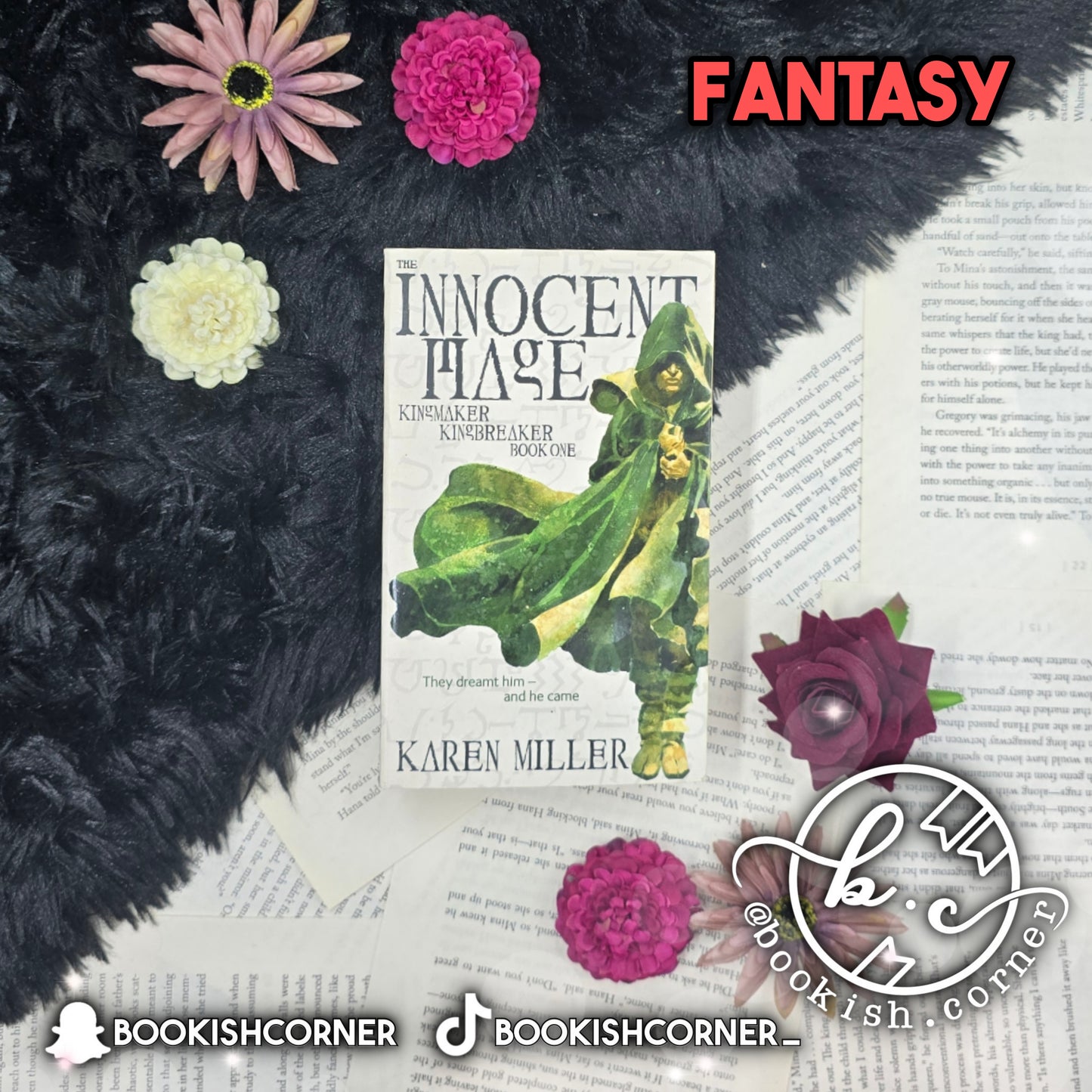 The Innocent Mage By Karen Miller