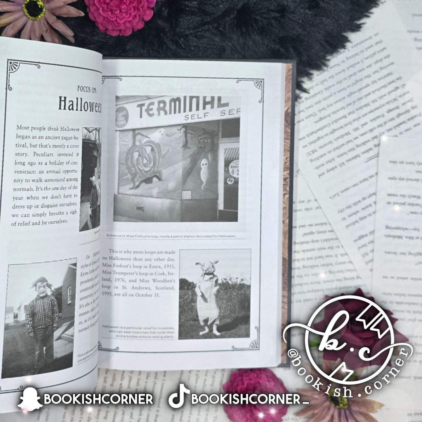 Miss Peregrine's Museum of Wonders By Ransom Riggs