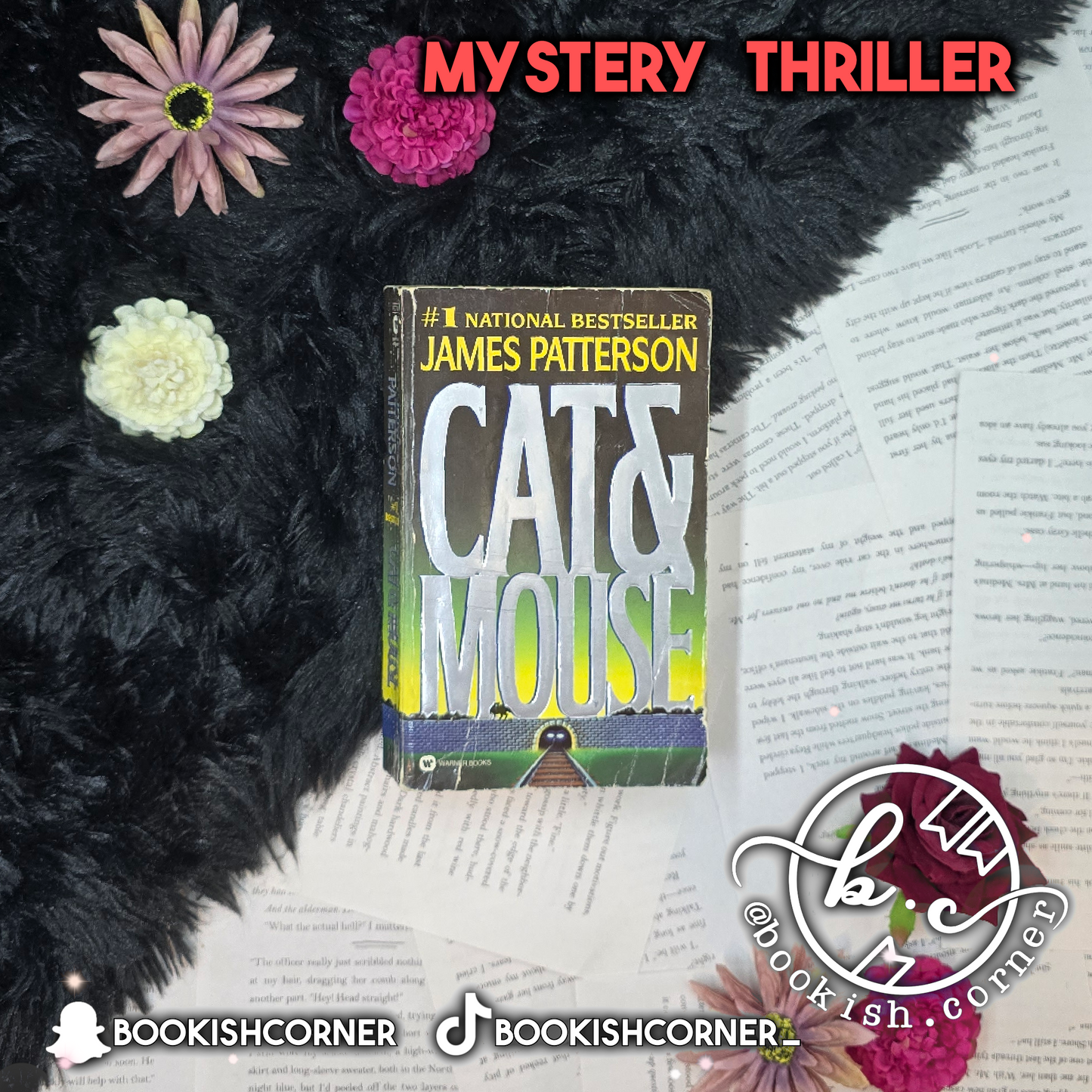 Cat & Mouse By James Patterson