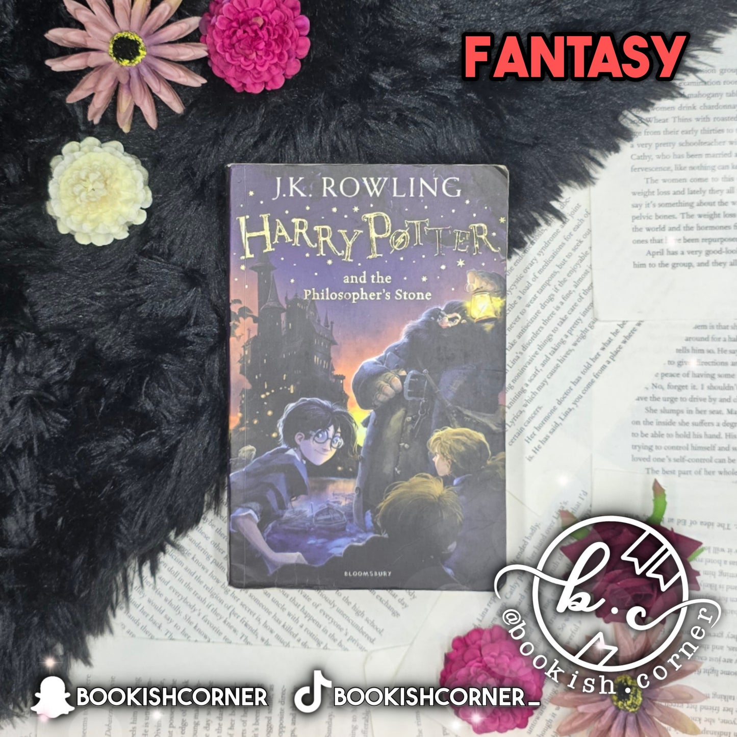Harry Potter And The Philosopher's Stone By J K Rowling
