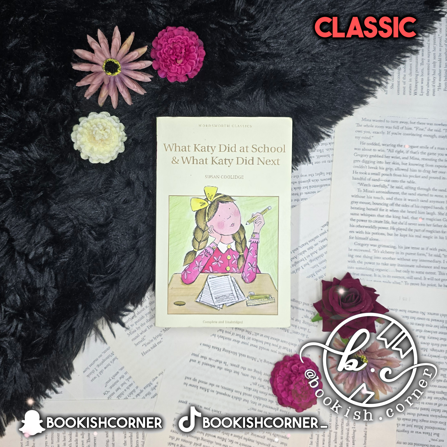 What Kady Did at School & What Katy Did Next By Susan Coolidge