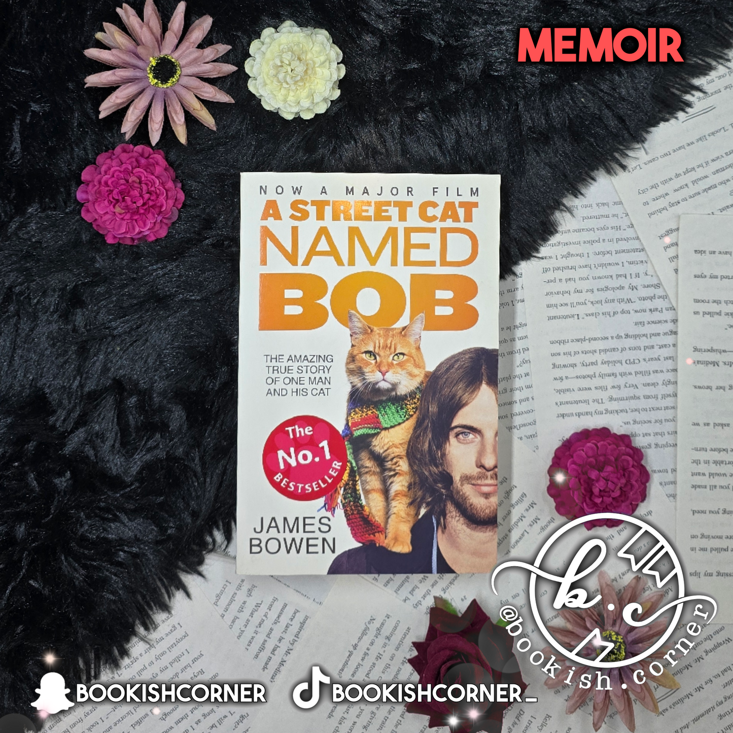 A Street Cat Named Bob By James Bowen