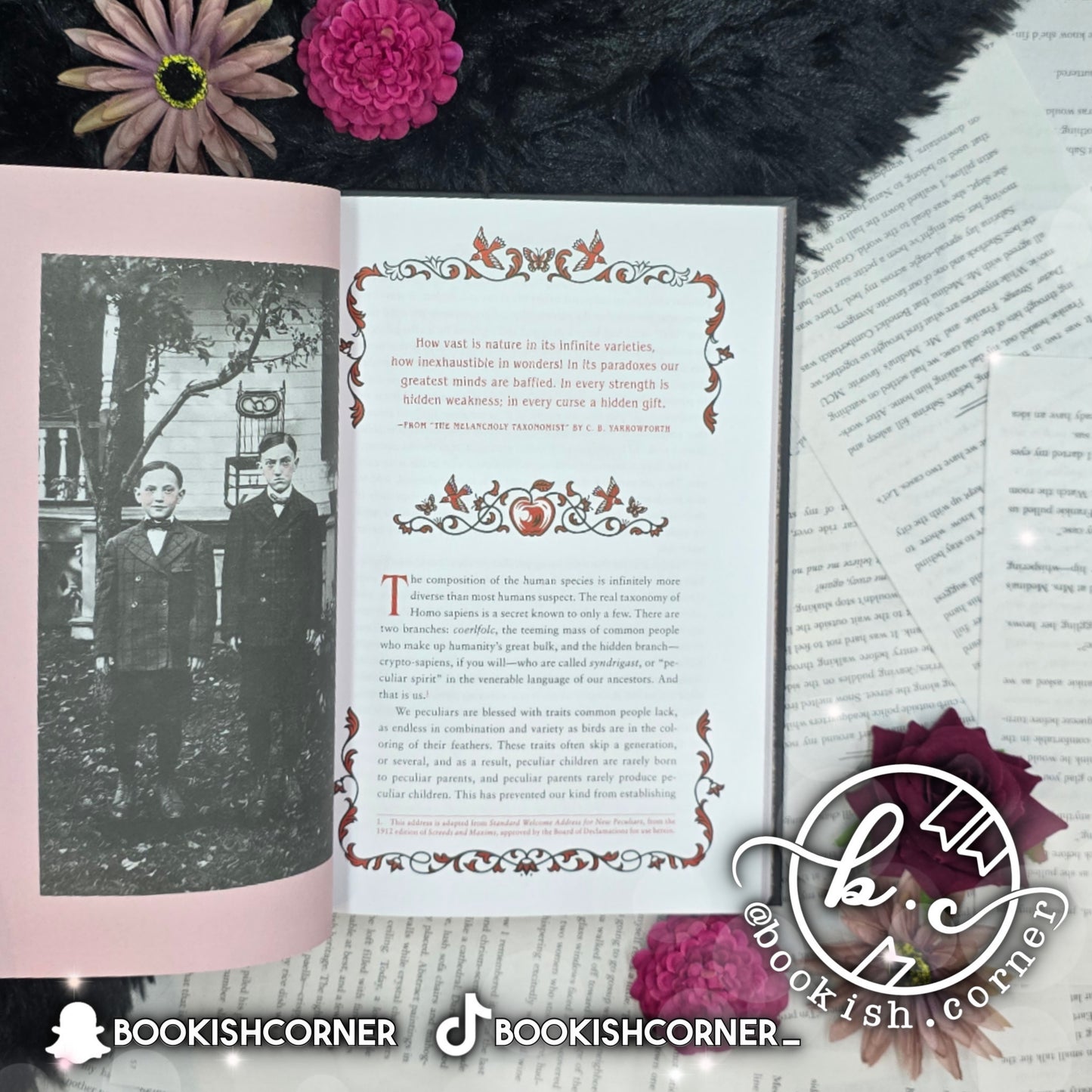 Miss Peregrine's Museum of Wonders By Ransom Riggs