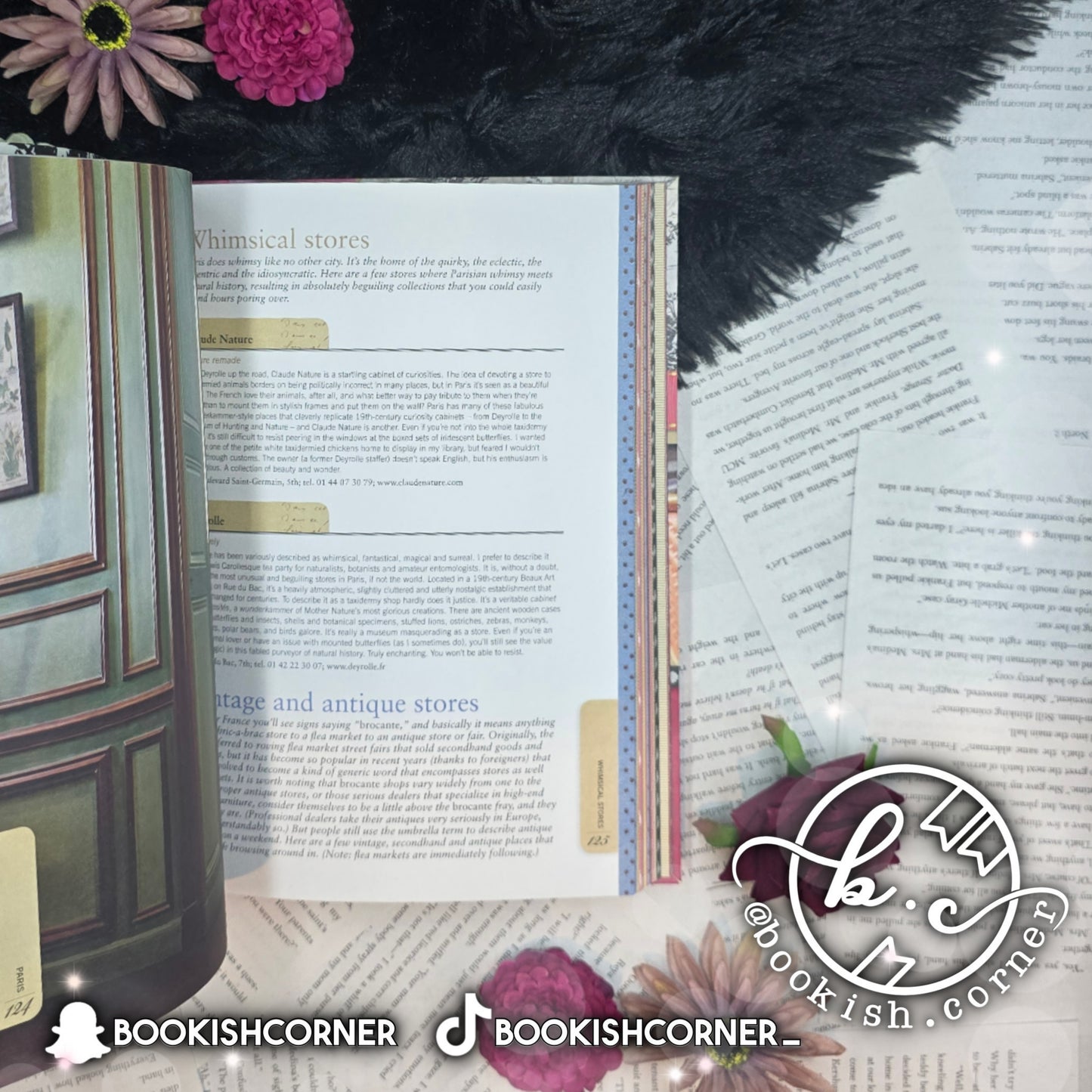 Paris By Janelle Mcculloch