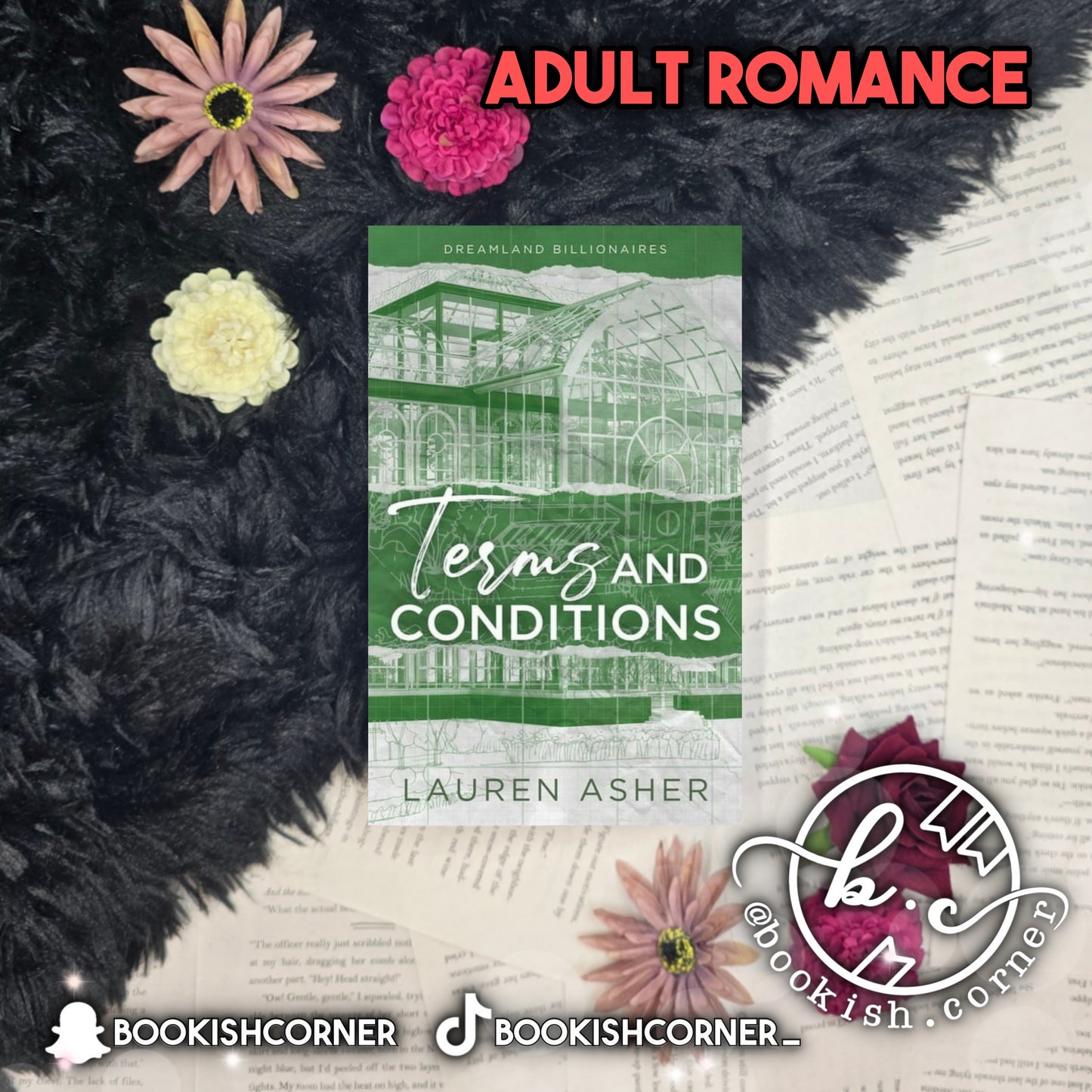 Terms And Conditions By Lauren Asher