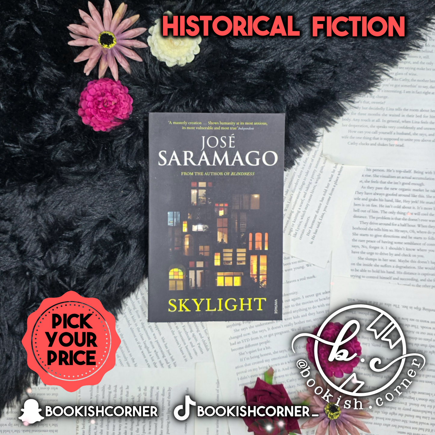 Skylight By Jose Saramago