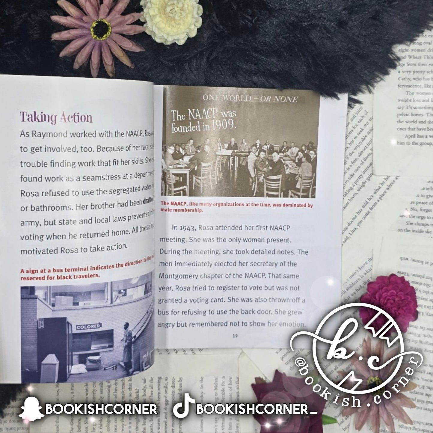 Rosa Parks By Christine Taylor Butler