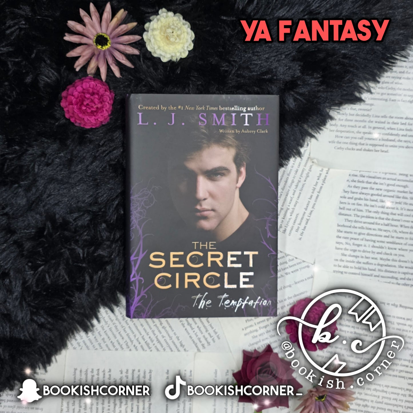 The Temptation By L J Smith