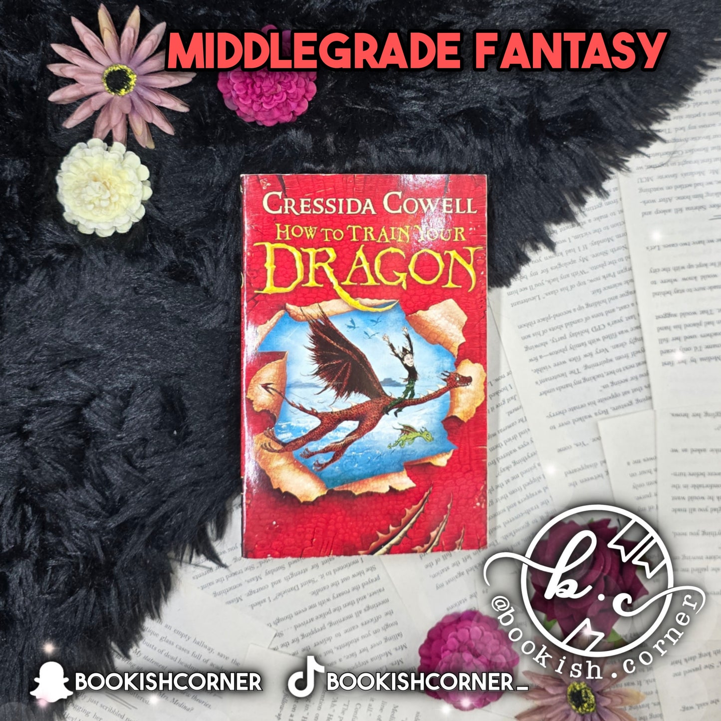 How To Train Your Dragon By Cressida Cowell