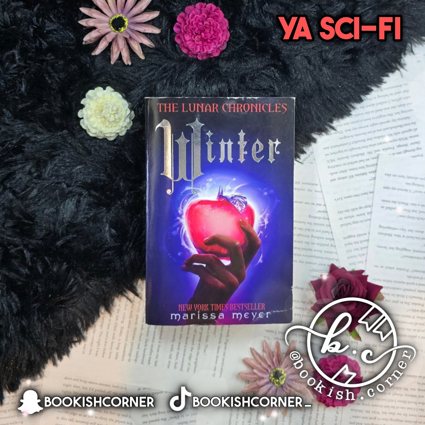 Winter By Marissa Meyer