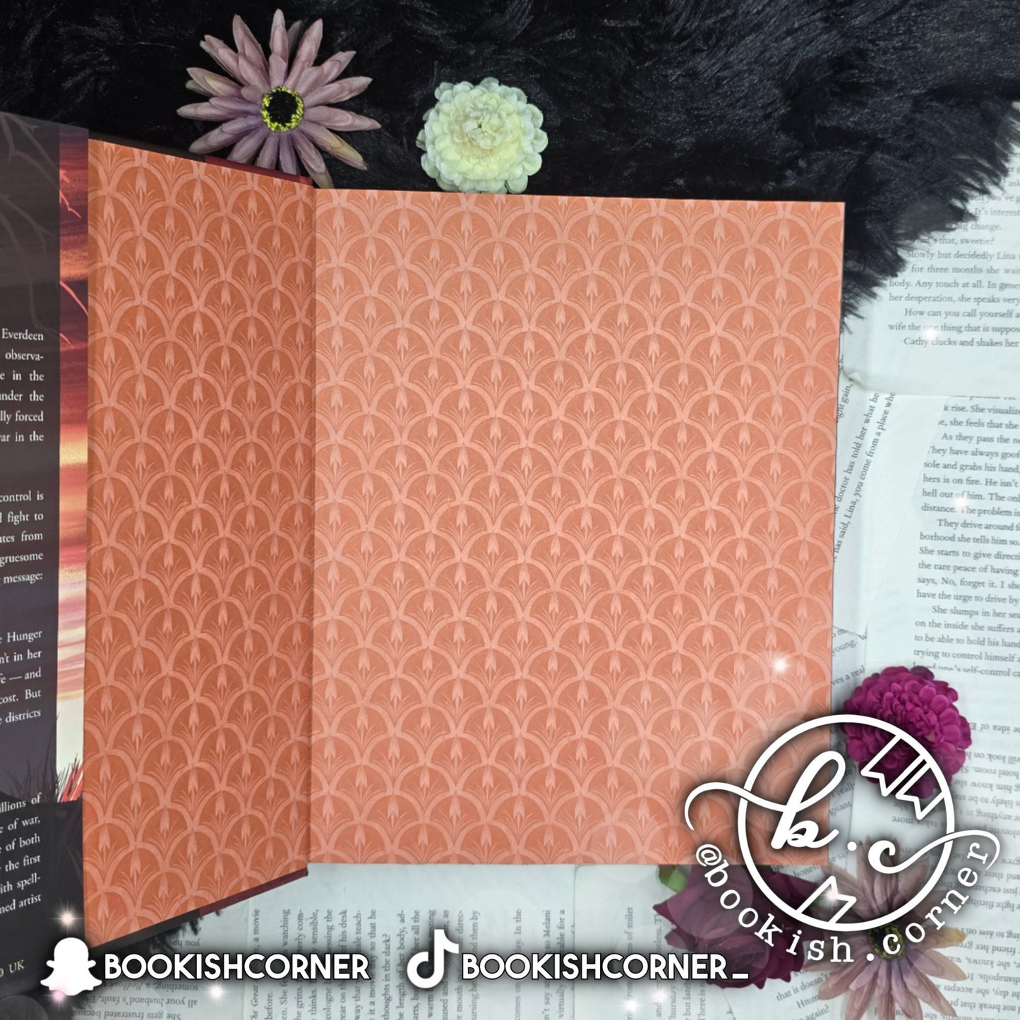 The Hunger Games : Illustrated Edition By Suzanne Collins , Nico Delort