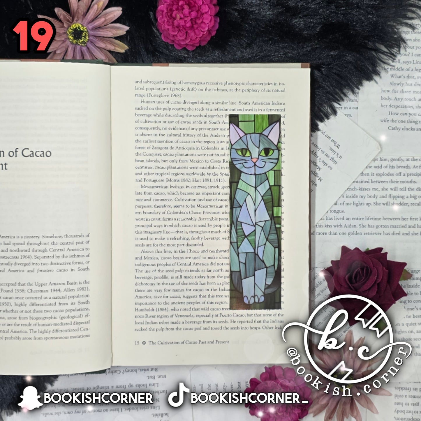 Cat Bookmarks