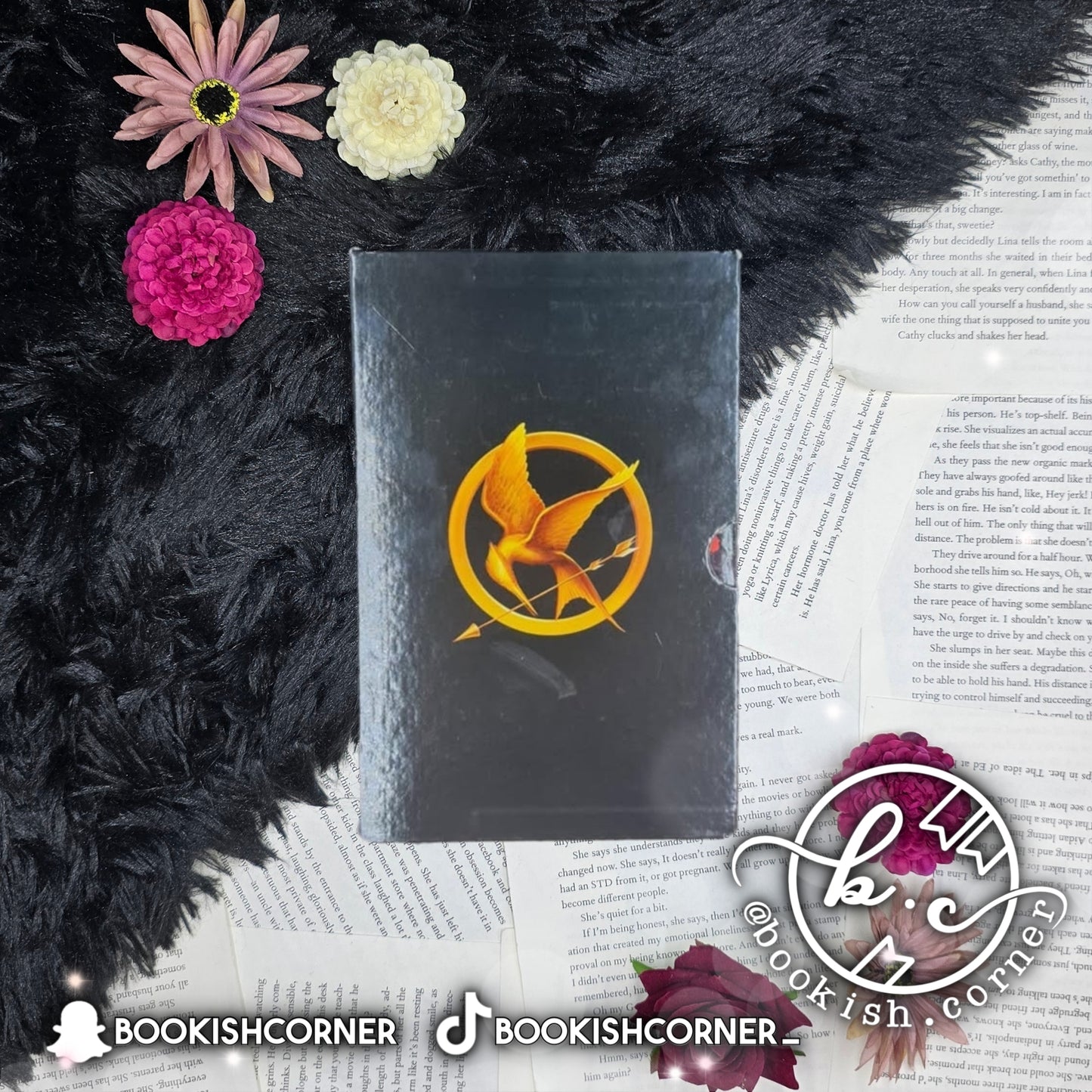 The Hunger Games (box set) By Suzanne Collins